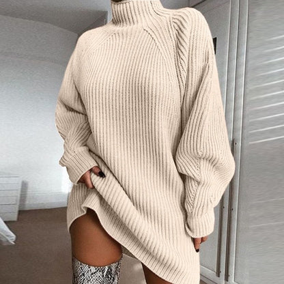 Solide Rollkragen Lange Pullover Winter Warme Frauen Pullover Kleid